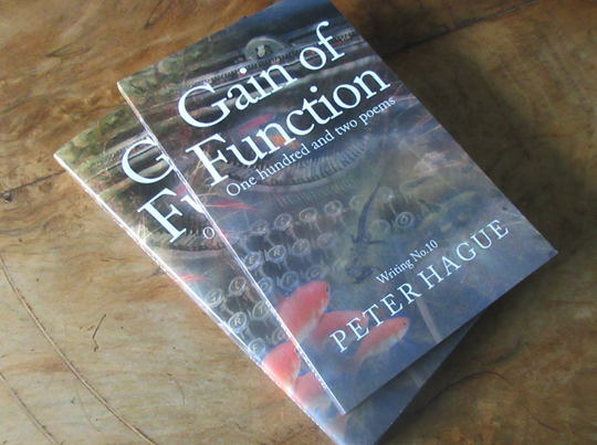 Gain of Function by Peter Hague